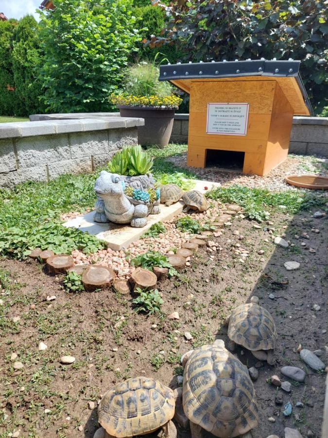Apartma Zirovnik Cerklje na Gorenjskem Esterno foto